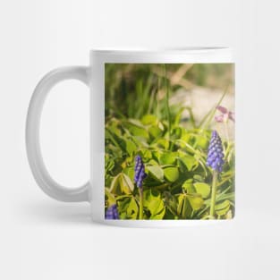 slb muscari Mug